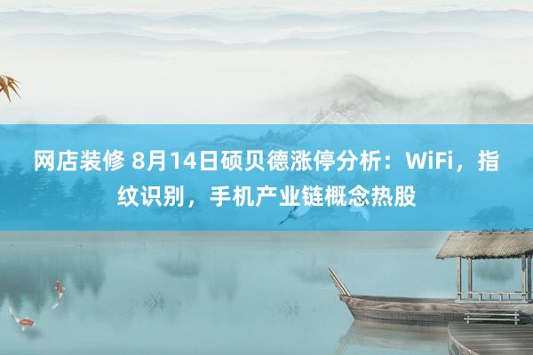 网店装修 8月14日硕贝德涨停分析：WiFi，指纹识别，手机产业链概念热股