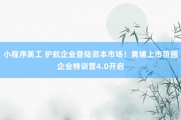 小程序美工 护航企业登陆资本市场！黄埔上市苗圃企业特训营4.0开启