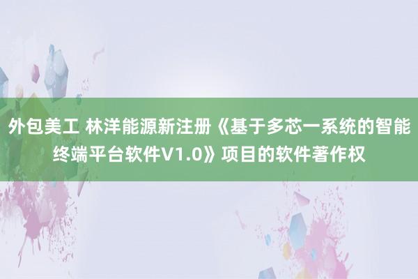 外包美工 林洋能源新注册《基于多芯一系统的智能终端平台软件V1.0》项目的软件著作权