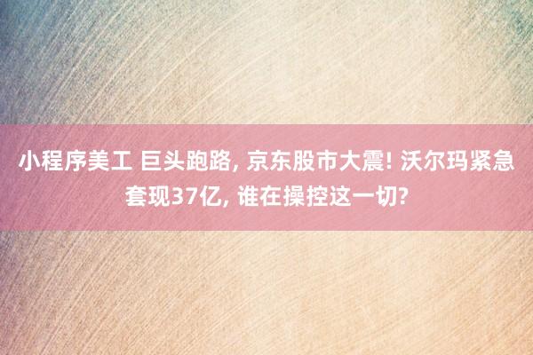 小程序美工 巨头跑路, 京东股市大震! 沃尔玛紧急套现37亿, 谁在操控这一切?